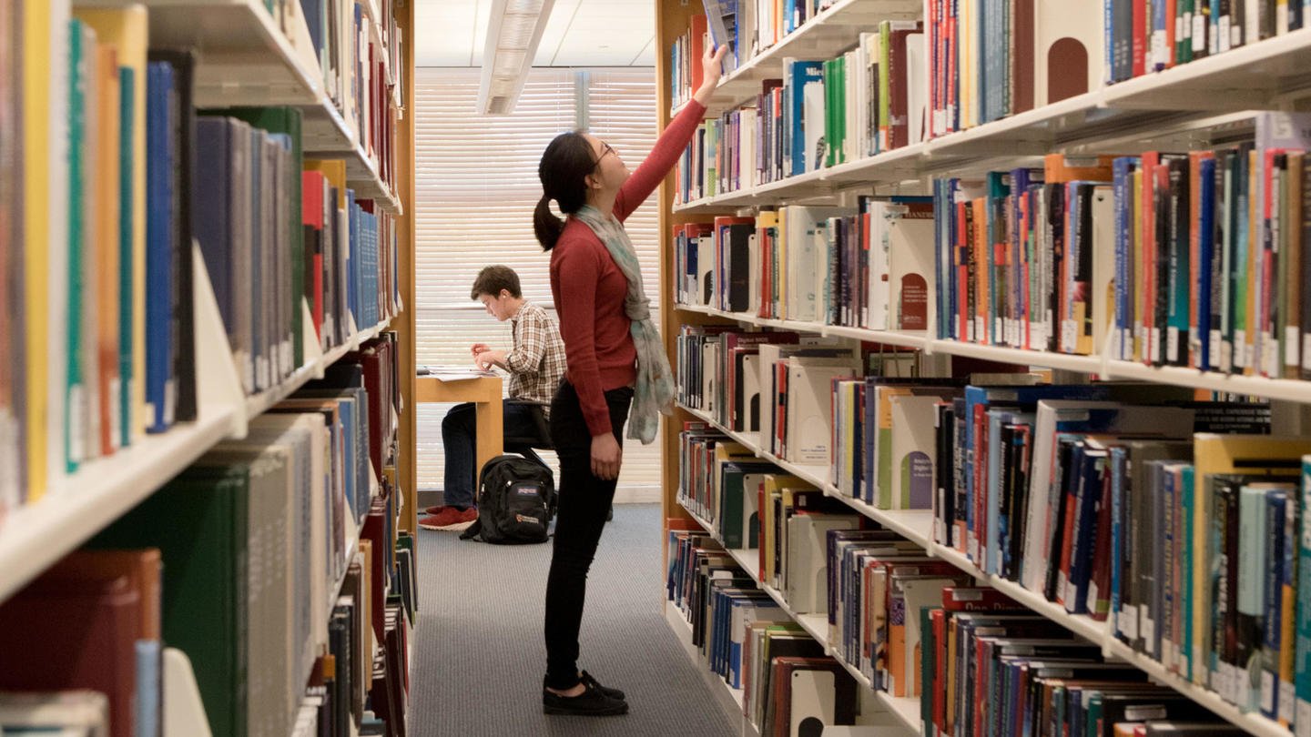 Students reading in the library